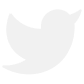 Twitter icon, filled, white color